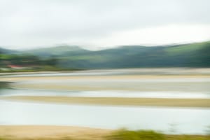 Puhoi Estaury Wenderholm post feature image