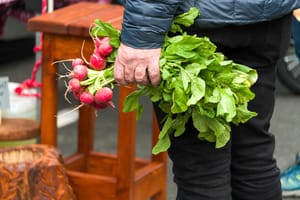 Radishes at the market post feature image