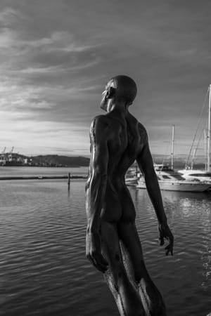 Solace in the Wind post feature image