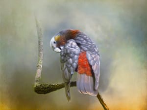 Striving for perfection post feature image