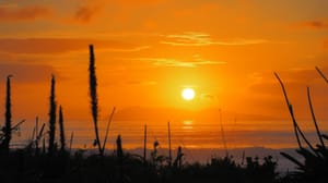 Sunrise Mayor Island post feature image