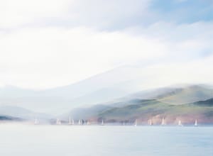 The race is on post feature image