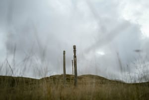 Three pouwhenua in windswept grass at Ōtātara Pā post feature image