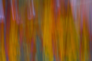 Yellow and red background post feature image