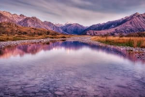 Reflections post feature image