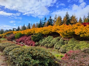 Autumn at its best post feature image