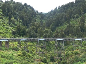 Nature interrupted! post feature image